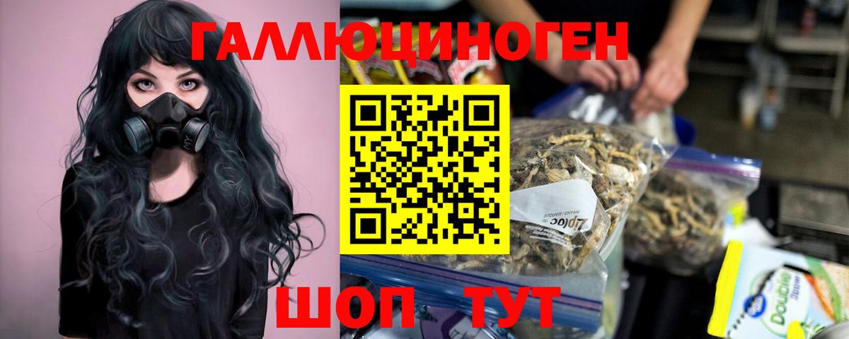Псилоцибиновые грибы GOLDEN TEACHER  Вход с VPN  что такое   Урюпинск 